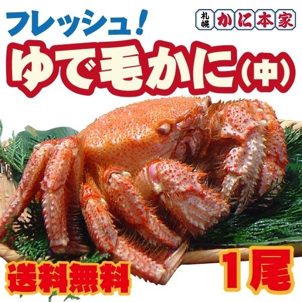 フレッシュゆで毛かに(中) 1尾[代引不可]