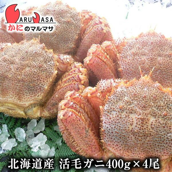 活毛がに 400g 4尾セット 翌日便対応 北海道産 かにのマルマサ 極上毛ガニ カニ かに 蟹 毛蟹 毛ガニ 通販 贈り物 道産品 敬老の日 ギフト