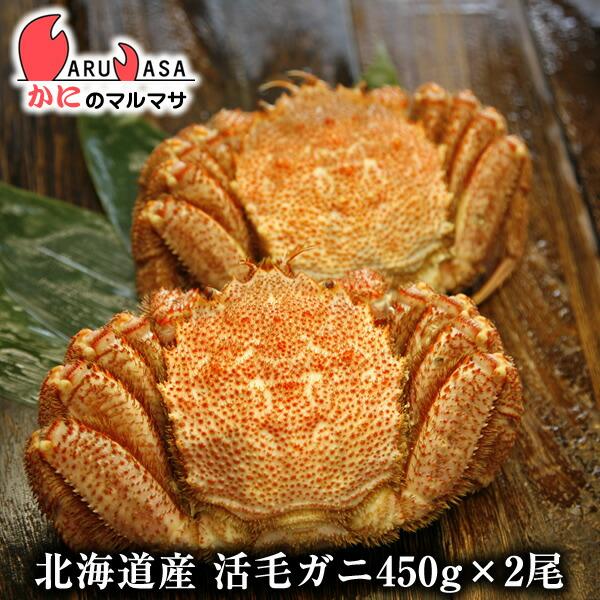活毛がに 450g 2尾セット 翌日便対応 北海道産 かにのマルマサ 極上毛ガニ カニ かに 蟹 毛蟹 毛ガニ 通販 贈り物 道産品 お中元 ギフト