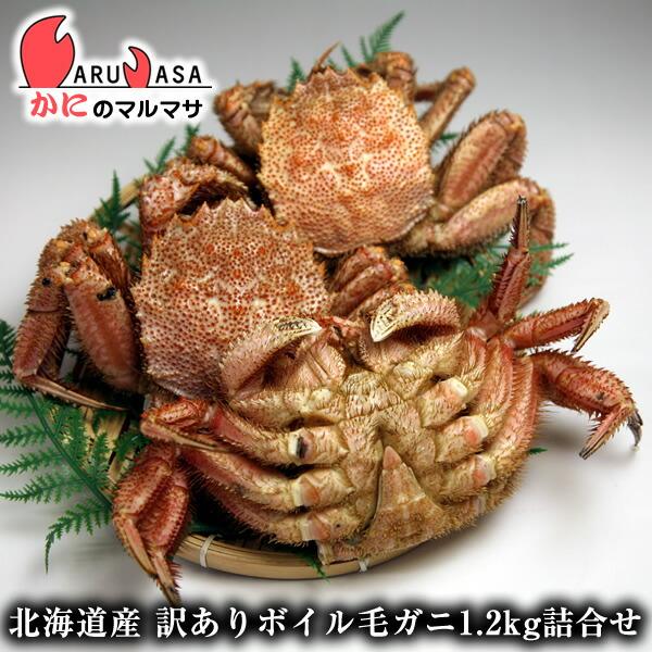 訳ありボイル毛がに 1.2kgセット 翌日便 北海道産 毛がに 毛蟹 毛ガニ