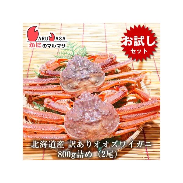 【お試しセット】お一人様1回限り 訳あり 活 オオズワイガニ 800g詰め（2尾入り）セット 翌日便 活ズワイガニ 活ずわいがに カニ通販 北海道産