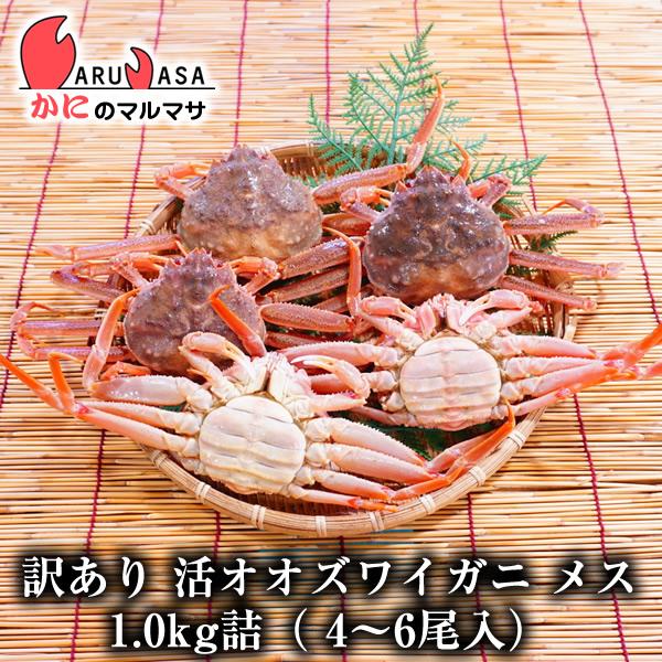 あすつく対応・翌日配達品！今、話題のオオズワイガニ！身が甘くて蟹みそが旨いのが特徴です。ぜひ、お試しください。活ガニでのお届けをご希望された方には、調理レシピと当店特製のオリジナル自然塩をサービスいたします。またボイルを希望された方は、当店...