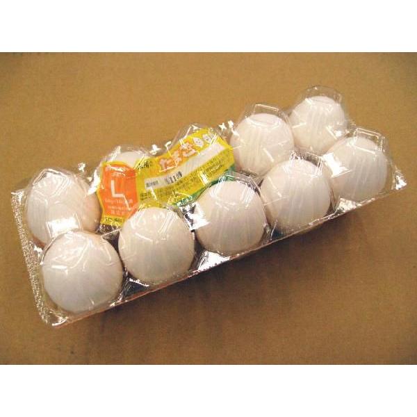 ����̐H�� �{�� L�T�C�Y 1�p�b�N 10�ʓ�