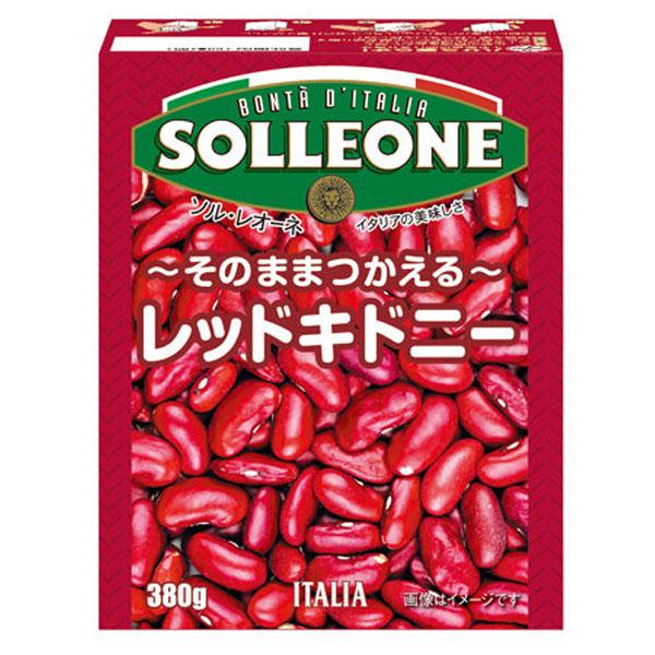 日欧 ソル・レオーネ そのままつかえる レッドキドニー 380g