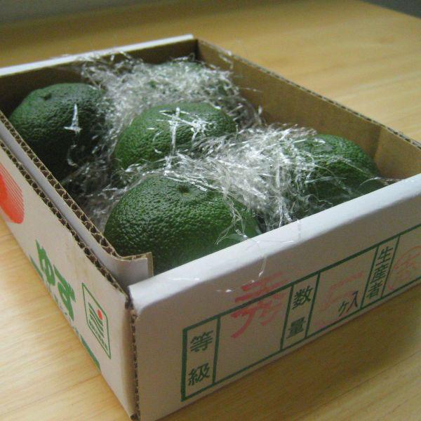 徳島県産　実生青柚子　中玉5キロ以上入り値下げしました朝収穫後にお届けします 徳島県産 実生青柚子 中玉5キロ以上入り値下げしました朝収穫