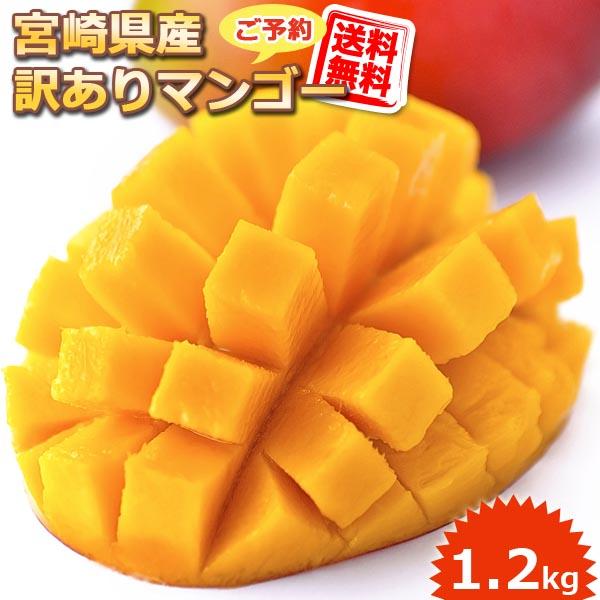 送料無料 訳あり 宮崎県産 完熟 アップルマンゴー 宮崎マンゴー 約1.2