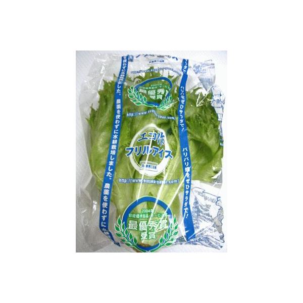 パリパリ感を是非サラダで！シャキッとした歯触りがありながら、露地物に比べ味はまろやかです。生でも炒め物でおいしくいただけます。とくにサラダがおすすめです。１袋：約９０ｇ