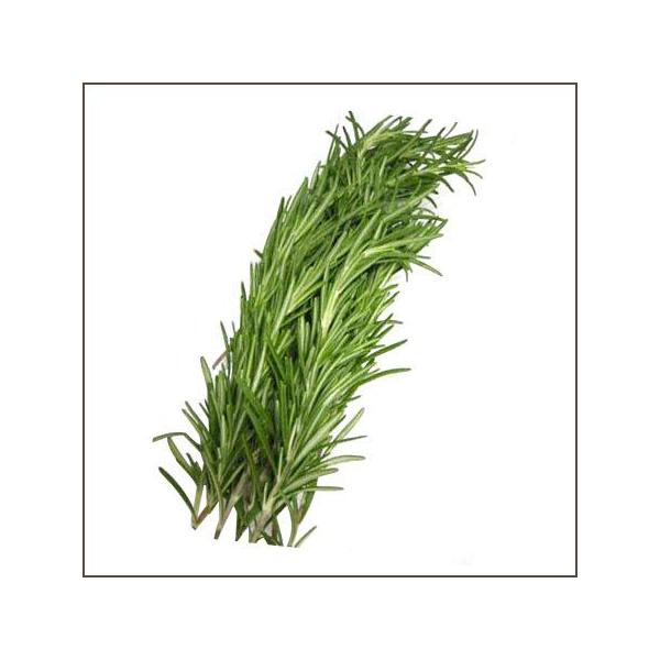 ローズマリー 調味用 食用ハーブ 1パック約15g Ila 食品のネットスーパー さんきん 通販 Yahoo ショッピング