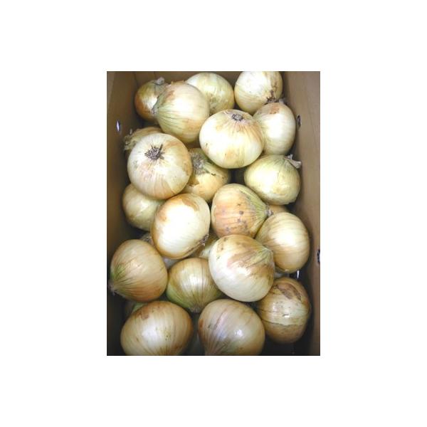 Y ʂ˂ ܂˂ ^}lM ʔK 110kg