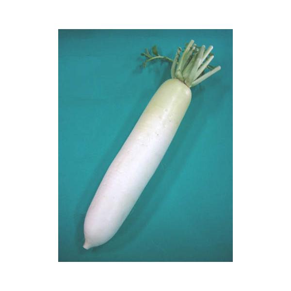 大根の人気商品 通販 価格比較 価格 Com