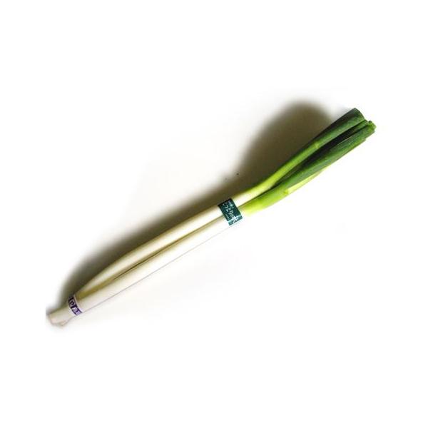 主に鳥取県産。生産地は通年を通して変化しますが常時国内産をお届け致します。１／２にカットしてお届けします。お届け日前日に加工しますが、白ねぎは生命力が強いため、お届け時はカット面が成長し伸びている場合がございます。１束３００ｇ前後：２〜３本...