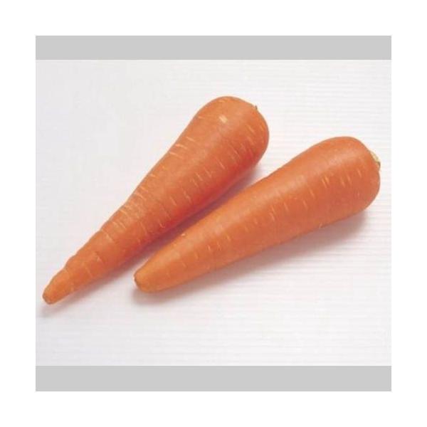 人参 10kg」の人気商品一覧 | 安い商品を通販サイトから探す