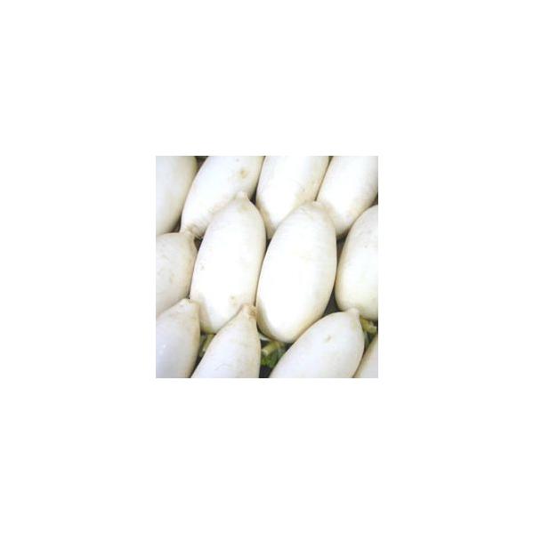 򖡂ɍœK hݑ卪 h卪 1{  _CR