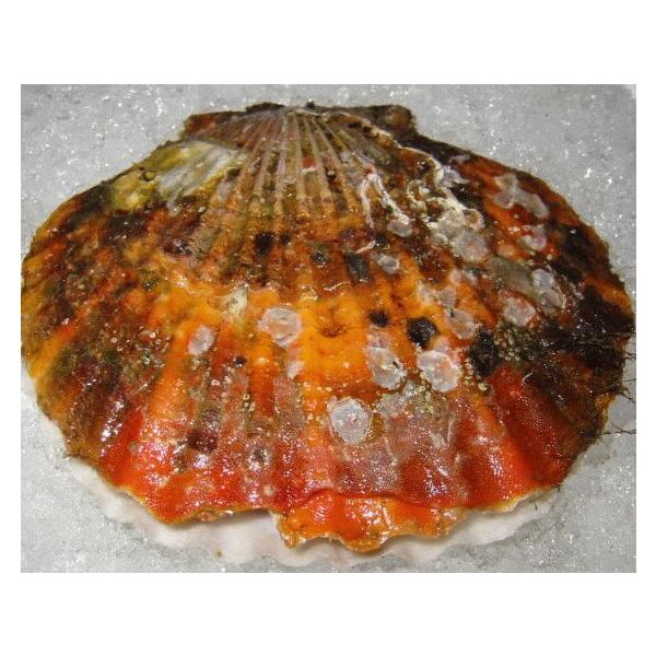 Y z^eL kt WTCY 25 BBQ