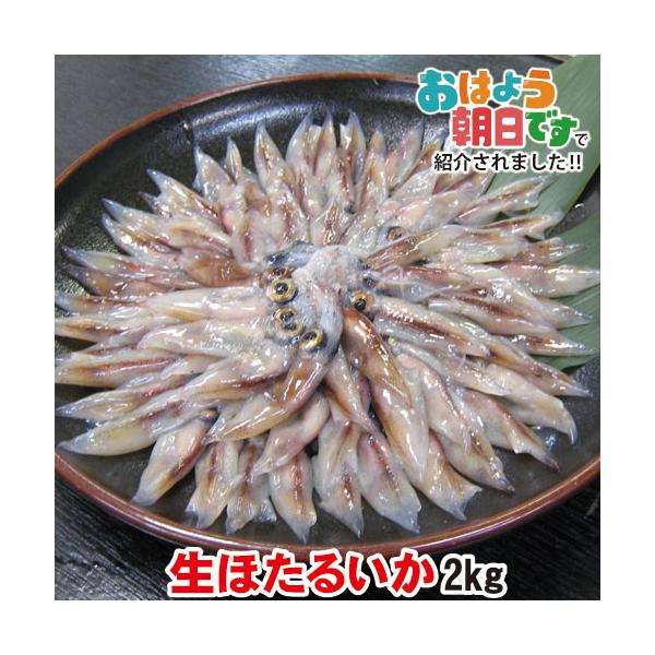 [Release date: April 1, 2026]ホタルイカ ほたるいか 新物 A級品 2kg(250g×8パック) 送料無料 兵庫県産 生冷凍 限定 お刺身用 刺身 刺し身 生食 釣り いか イカ お取り寄せ グルメ ギフト超新鮮...