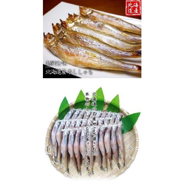 ししゃも シシャモ 北海道産 本ししゃも オス 30尾 子なし おつまみ 一夜干し 干物セット 干し魚 /【Buyee】 ししゃも シシャモ 北海道産 本ししゃも オス 30尾 子なし おつまみ 一夜干し 干物セット 干し魚 /【Buyee】