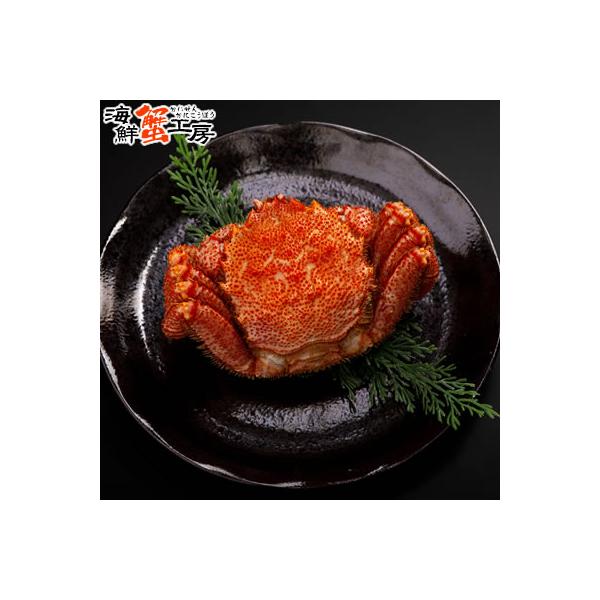 訳あり 太平洋産 ボイル 毛がに 300g前後 1尾 かに カニ 蟹 毛ガニ 毛蟹 蟹味噌 自宅用 爆買