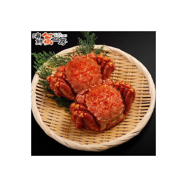 訳あり 太平洋産 ボイル 毛がに 300g前後 2尾 かに カニ 蟹 毛ガニ 毛蟹 蟹味噌 自宅用 爆買