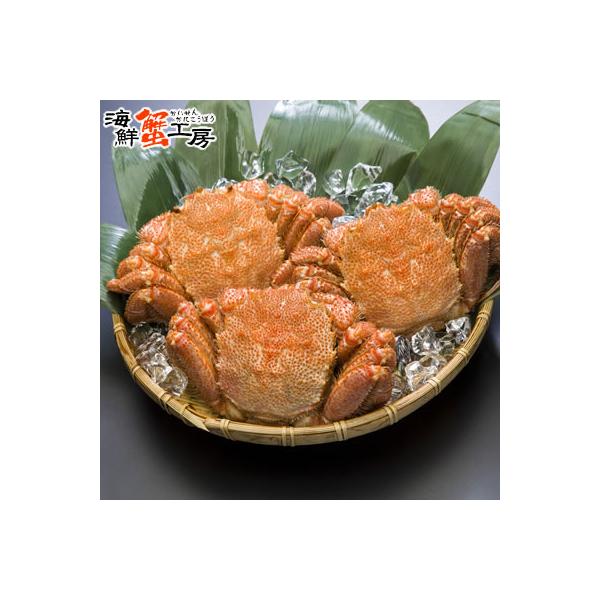 訳あり 太平洋産 ボイル 毛がに 300g前後 3尾 かに カニ 蟹 毛ガニ 毛蟹 蟹味噌 自宅用 爆買