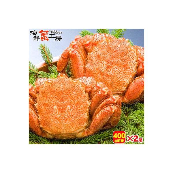 ボイル 毛ガニ 姿 400g前後 2尾 セット 毛蟹 かにみそ 海鮮 贈り物 蟹 お取り寄せ ギフト グルメ 送料無料 オホーツク カニ プレゼント ポイント利用 爆買