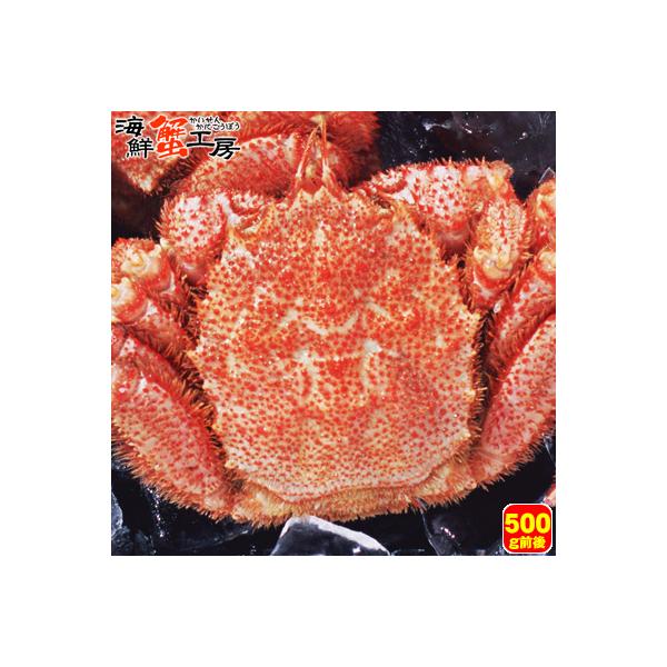 ボイル 毛ガニ 姿 440〜500g前後 1尾 毛蟹 かにみそ 北海道 海鮮 贈り物 蟹 お取り寄せ ギフト グルメ 送料無料 オホーツク カニ プレゼント ポイント利用 爆買