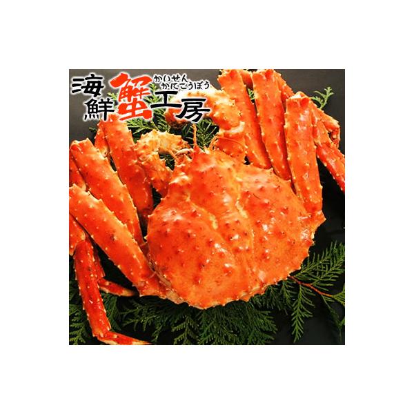 タラバガニ 姿 1.8kg前後 1尾 ボイル 冷凍 カニ姿 タラバ蟹 ゆで 冷凍 1.8kg カニ飯 焼きガニ お取り寄せ ギフト グルメ 贈り物 プレゼント ポイント利用 爆買