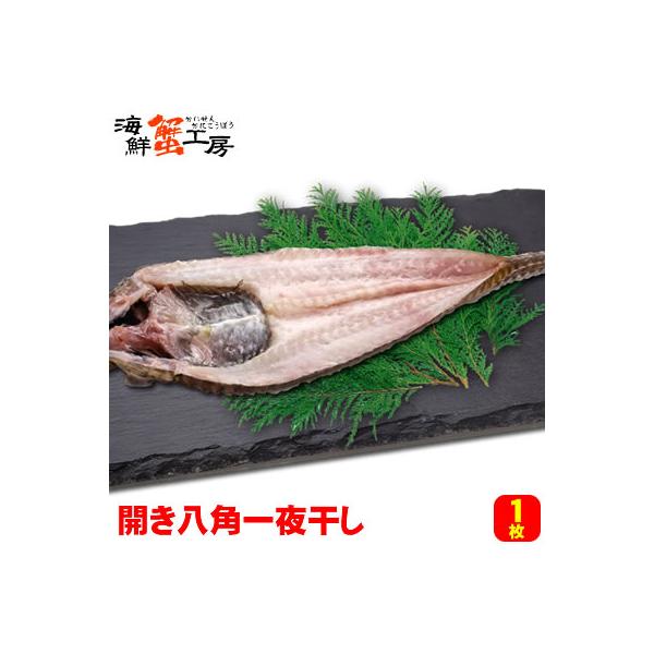 ◆商品内容開き八角 一夜干し 1枚入り◆原材料八角（北海道）、食塩◆お召し上がり方・自然解凍後に焼いてお召上りください・大きすぎて焼けない場合は切ってください◆賞味期限冷凍（-18℃以下）保存で約30日※業務用製品のため、賞味期限が長期間で...