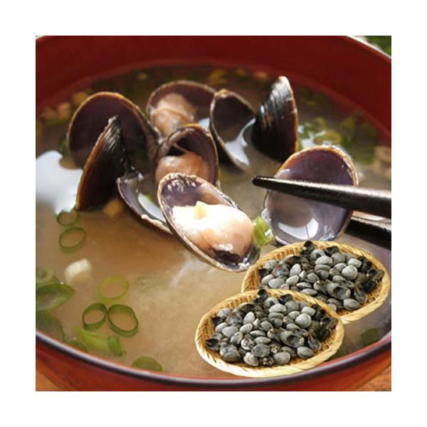 しじみ 2kg しじみ 味噌汁 ギフト 北海道 網走湖産 砂抜き済 お取り寄せ グルメ ギフト オホーツク 網走 プレゼント 誕生日祝 御祝 御礼 内祝 爆買