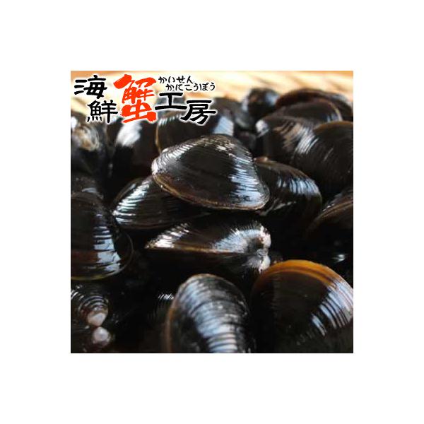 しじみ 250g しじみ 味噌汁 北海道 網走湖産 砂抜き済 しじみ汁 お取り寄せ グルメ オホーツク 網走 プレゼント 誕生日祝 御祝 御礼 内祝 ポイント利用 爆買