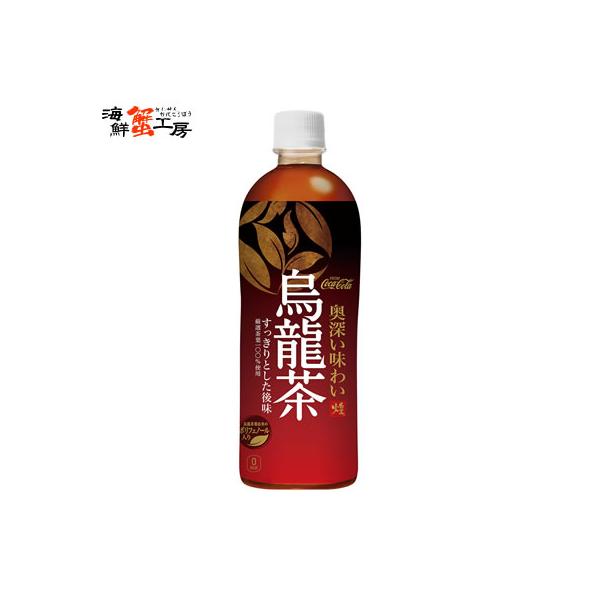 【北海道限定】煌(ファン)烏龍茶 650PET×24本 ペットボトル ウーロン茶 ポリフェノール ポイント利用 爆買