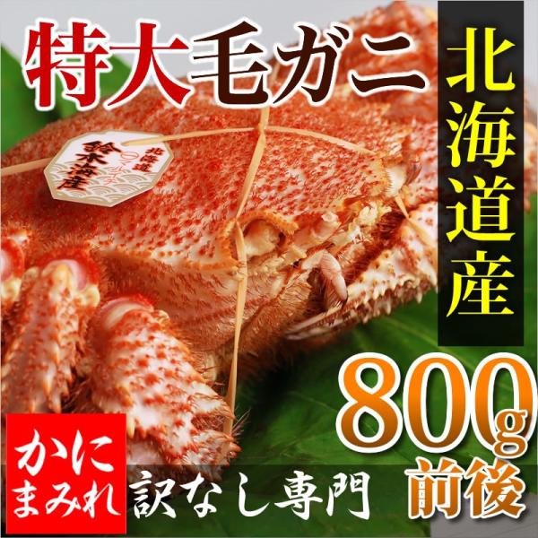 浜茹で毛ガニ・特大 無添加(800g前後) 【業界最高3〜4特ランク堅 浜茹で毛ガニ・特大 無添加(800g前後) 【業界最高3〜4特ランク堅