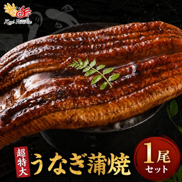 うなぎ 蒲焼 超特大 380g前後 1尾 中国産 特大 鰻 ウナギ 大きすぎて訳あり グルメ 土用の丑の日 ギフト 贈り物 海鮮 お取り寄せ