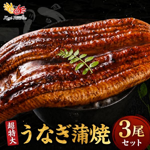 うなぎ 蒲焼 超特大 380g前後 3尾 中国産 特大 鰻 ウナギ 大きすぎて訳あり グルメ 土用の丑の日 ギフト 贈り物 海鮮 お取り寄せ