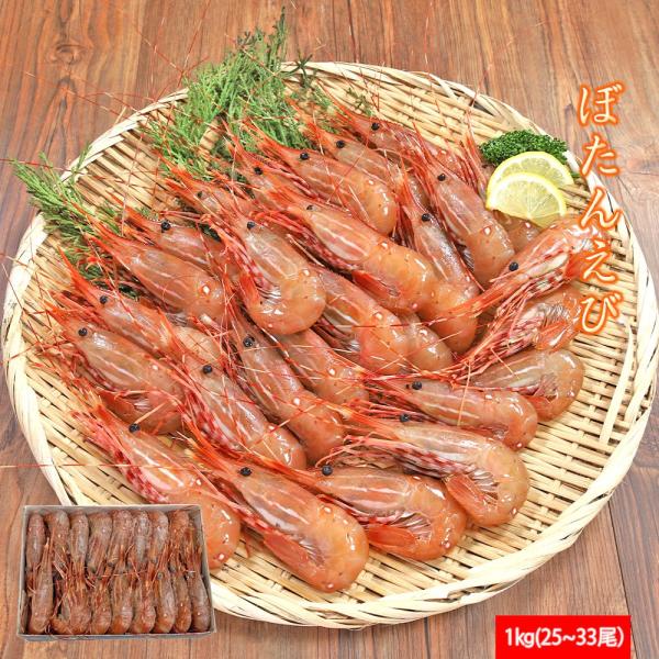 カナダ ボタンエビ L 1kg 1kgに約25尾 33尾 スポットプラウン カナダスポットエビ ぼたんえび 刺身 生食 えび エビ 海老