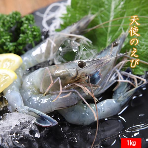 天使のえび 1kg 3040サイズ(1kgに約30尾〜40尾入り) えび エビ 海老 刺身 生食 贈り物 バレンタイン お取り寄せ 冬ギフト