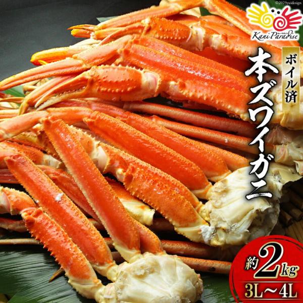 ズワイガニ 肩付脚 3L〜4L 総重量2kg ( 正味重量1.6kg ) ボイル ずわい蟹 贈り物 バレンタイン お取り寄せ 冬ギフト
