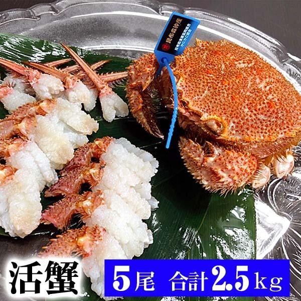 有名な高級ブランド本物 毛ガニ 食品 北海道産 魚介類 海産物 活毛がに 500ｇ 5尾入り 中型 毛ガニの美味しさを味わうなら 未冷凍の活け毛蟹 茹でたて毛がにの醍醐味でもあるカニ味噌 グルメお取り寄せ 中型 毛ガニの美味しさを味わうなら 未冷凍の活け毛蟹 茹でた