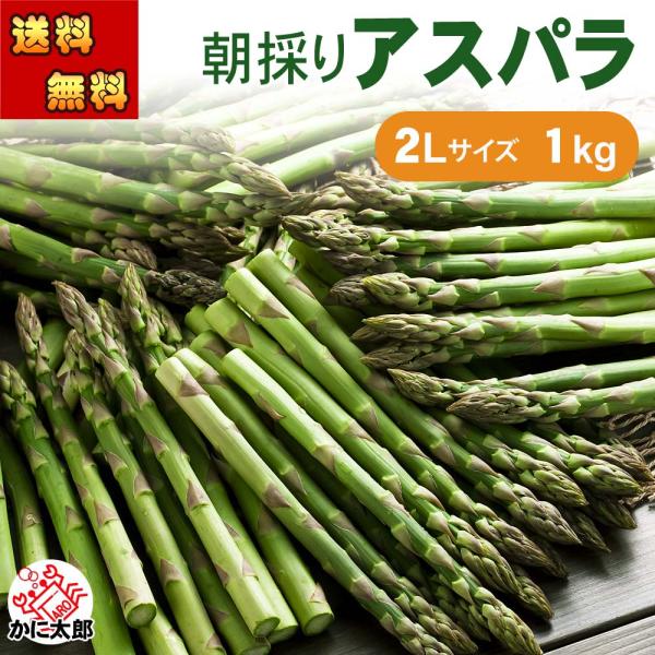 2026年先行予約 送料無料 2Lサイズ 北海道 グリーン アスパラ