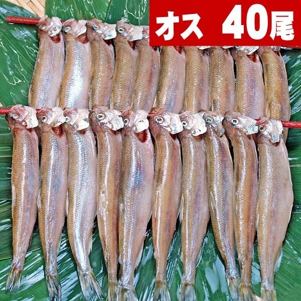 VV@IX@40(Y@TCY)ƓVŊkCY BtAʔ Mtg