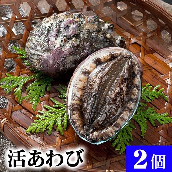 活蝦夷アワビ　2個　計200ｇ　北海道礼文島産　活えぞあわびだからこそお刺身、肝醤油、肝刺し、煮物、鉄板であわびステーキ