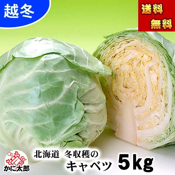 北海道の真冬に食べるキャベツ。雪の下で貯蔵することで、甘みが増しました。食べられるのは、冬季限定（1月中旬〜3月上旬）みずみずしくシャキシャキ感のある、糖度は10度のきゃべつです。==========================【予約受...