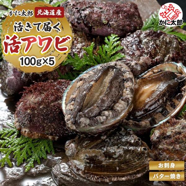 活蝦夷アワビ 5個 計500g 北海道産 鮑粥 活黒あわびだからこそ 活蝦夷アワビ 5個 計500g 北海道産 鮑粥 活黒あわびだからこそ