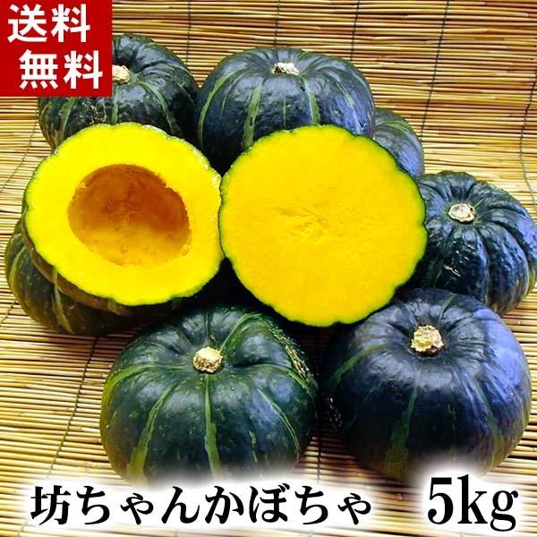 (送料無料)北海道産小玉カボチャ 坊ちゃんかぼちゃ　5kg(8〜12玉入り)粉質でホクホクな南瓜。北海道かぼちゃ野菜グルメお取り寄せ