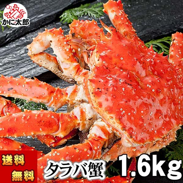 送料無料 タラバガニ たらばがに 姿 1.6kg 小型 ボイル冷凍(北海道