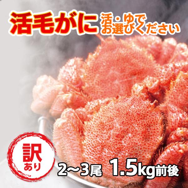 毛蟹 けがに 訳あり 活毛ガニ 北海道産 冷蔵 2〜3尾セット 1.5kg前後
