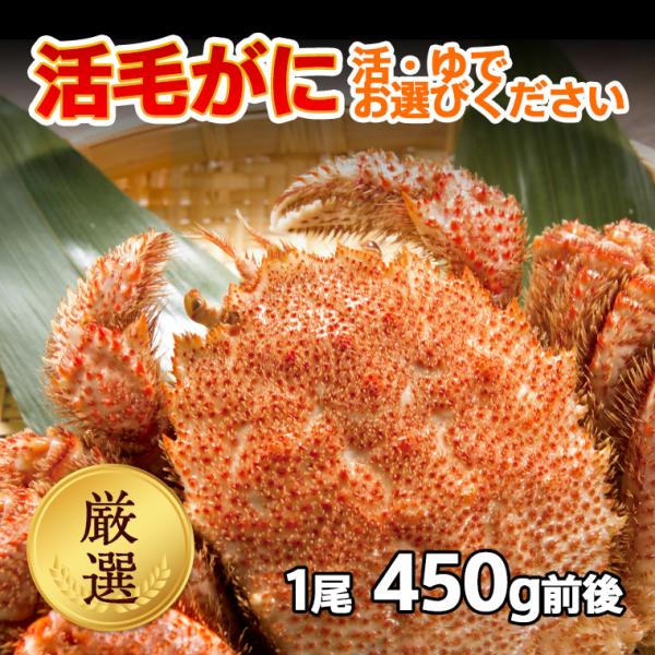 厳選 けがに 活毛ガニ 北海道産 冷蔵 1尾(450g前後)