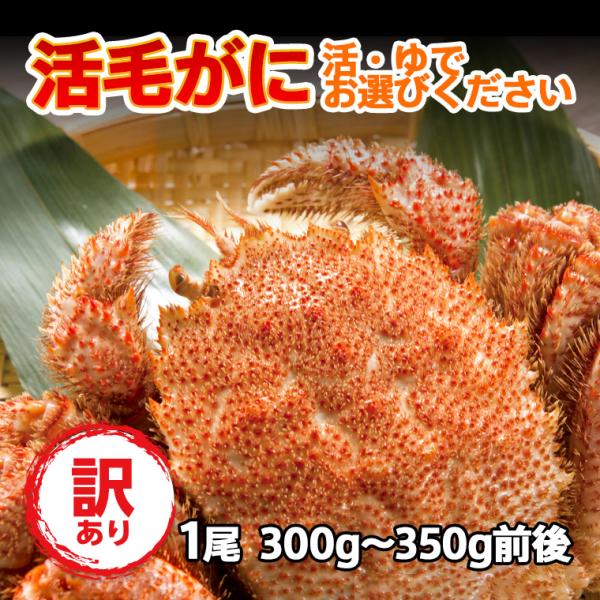 毛蟹 けがに 活毛ガニ 北海道産 冷蔵 訳あり 1尾(300g-350g前後)
