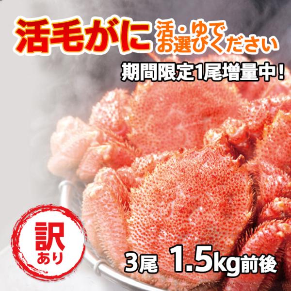 期間限定 1尾増量中 3尾 1.5kg 毛蟹 けがに 活毛ガニ 北海道産 冷蔵 訳あり