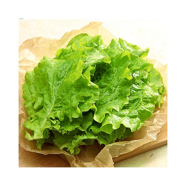 商品名 サンチュ内容量 約100枚原産国名 日本産特徴 韓国野菜の代表的な食材で、焼肉といえば必ずサンチュが出てくると言えるほど、定着した葉レタスです。保管方法 冷蔵庫の野菜室で保存し、お早めにお召し上がりください。※注意事項 日持ちのしま...