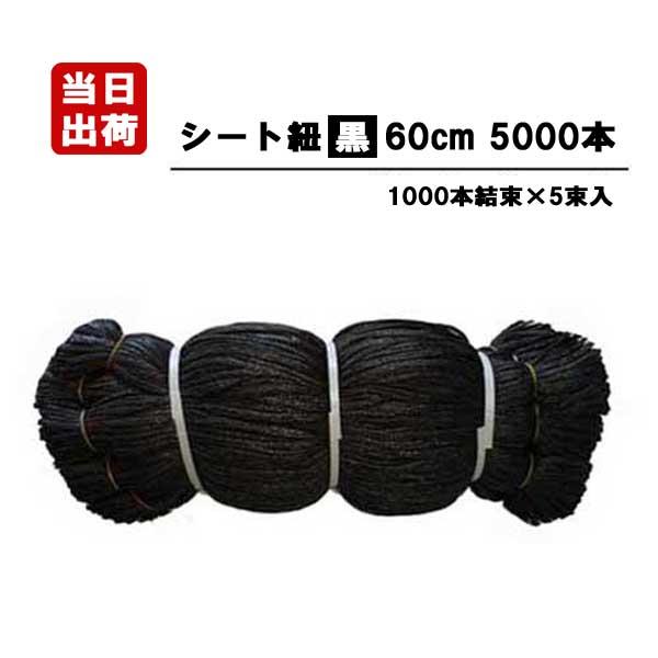 シート紐 60cm 黒 5000本入 足場用 組ひも 結束 ロープ ひも シート紐 60cm 黒 5000本入 足場用 組ひも 結束 ロープ ひも